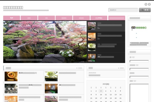 Site using All in One SEO Pack plugin