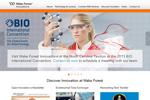 WordPress website example screenshot