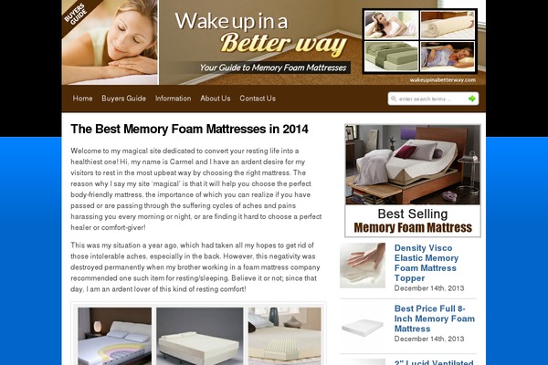 Iconic One theme site design template sample