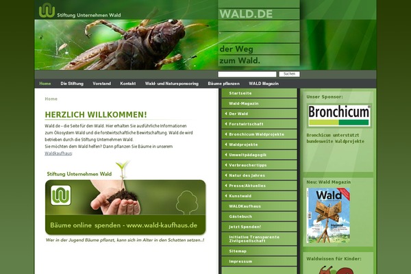 sdw theme websites examples