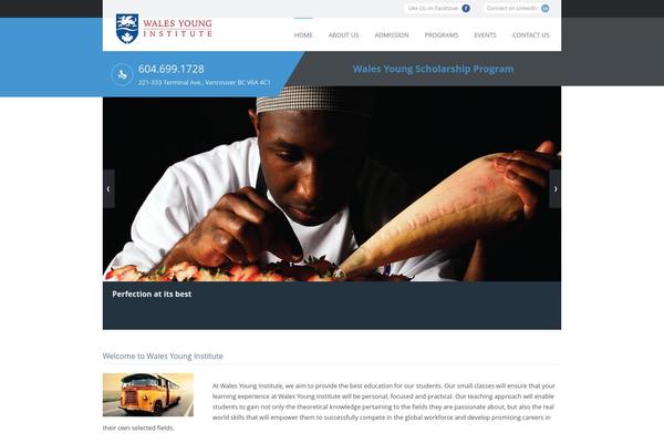 walesyoung.com site used My College