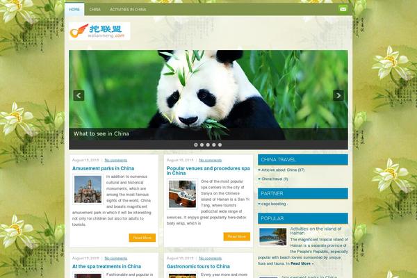 WordPress website example screenshot