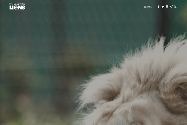Story theme site design template sample