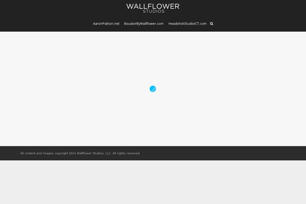 wallflowerstudios.net site used Vivacity