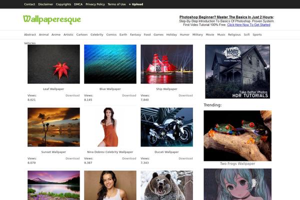 PlixPro WordPress theme, websites list used PlixPro theme PlixPro theme websites examples