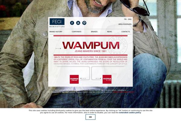 fegi WordPress theme, websites list used fegi theme fegi theme websites examples