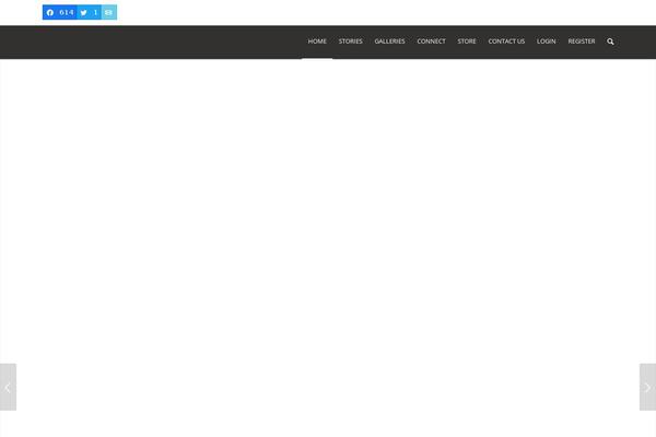 Enfold theme site design template sample