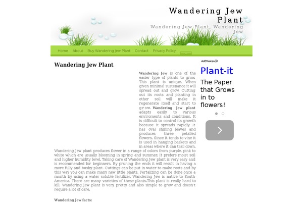 wanderingjewplant.net site used Naya Lite