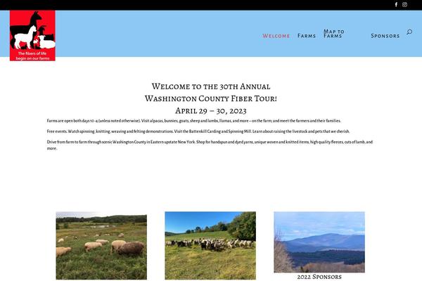 Divi theme site design template sample