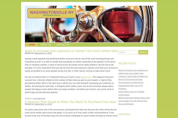 Washington theme site design template sample
