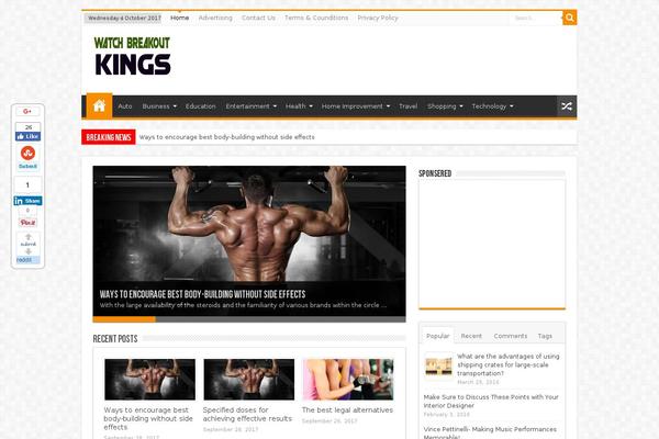 Sahifa theme site design template sample