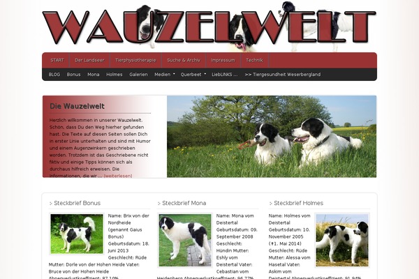 wauzelwelt.de site used Affshop
