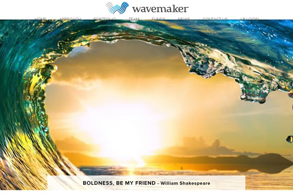 wavemaker.vc site used Wavemakers