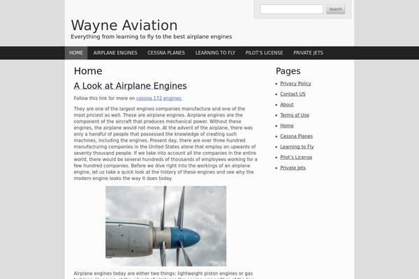 wayneaviation.com site used A11yall