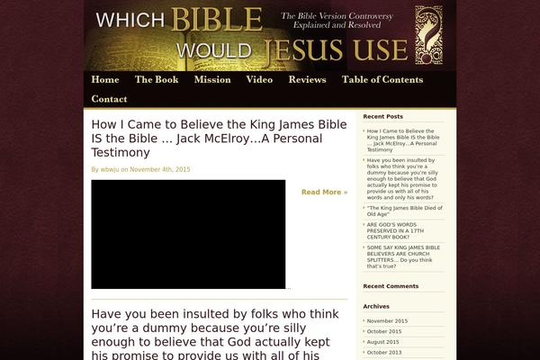 WhichBible theme websites examples