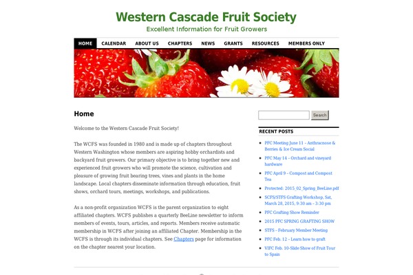 WordPress website example screenshot