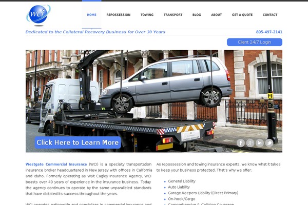 WordPress website example screenshot