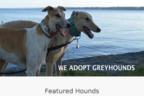 weadoptgreyhounds.org site used Connexions Lite