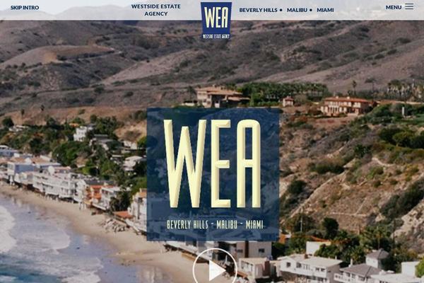 WEA theme websites examples