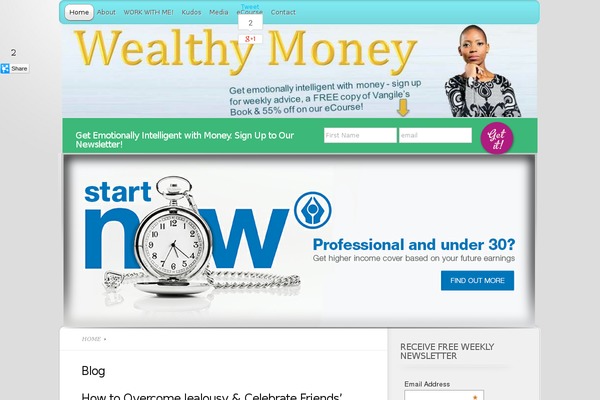wealthy-money.com site used Pro