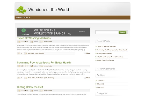 WordPress website example screenshot