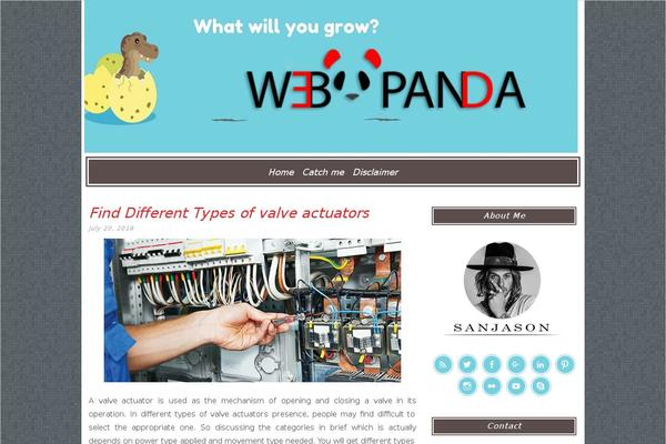 web-panda.com site used Lycka