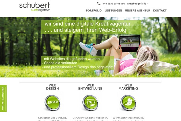 WordPress website example screenshot