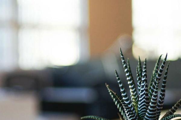 Twenty Seventeen theme site design template sample