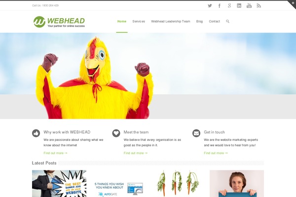 Site using Rainmaker plugin