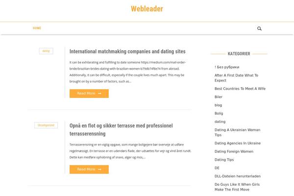 webleader.dk site used Blog-mantra