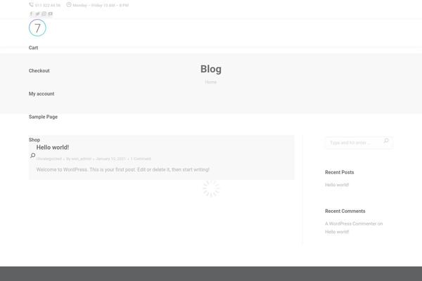 WordPress website example screenshot