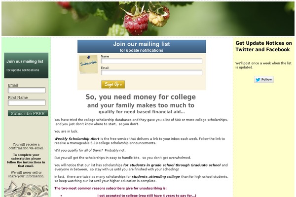 WordPress website example screenshot