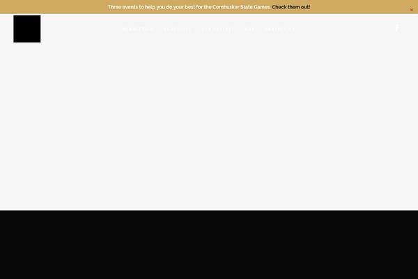 Bridge theme site design template sample
