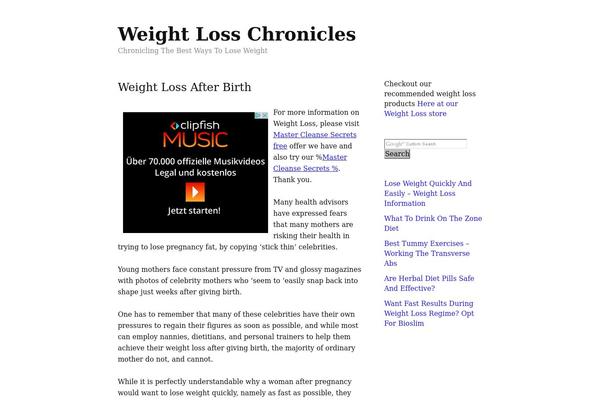 WordPress website example screenshot