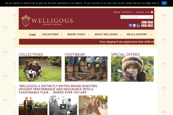 welligogs.com site used Welligogs