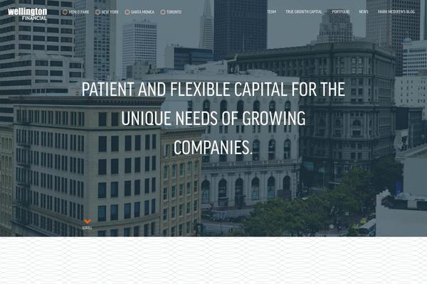 WordPress website example screenshot