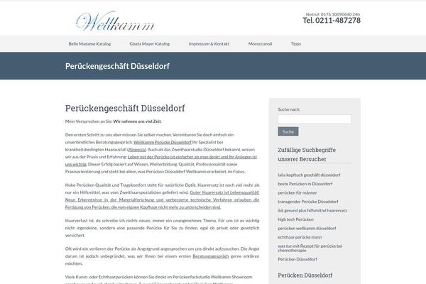 wellkamm.de site used SKT IT Consultant