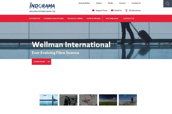 wellman-intl.com site used Software-design