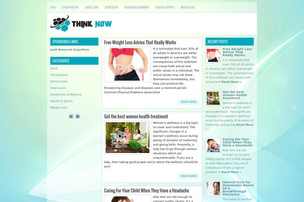 Netzine theme site design template sample