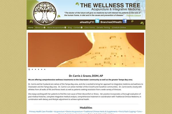 wellnessbycarrie.com site used Acuperfectwebsitesv2