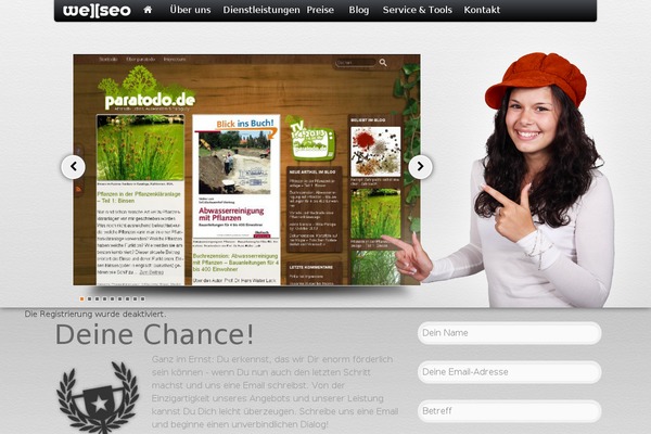 WordPress website example screenshot