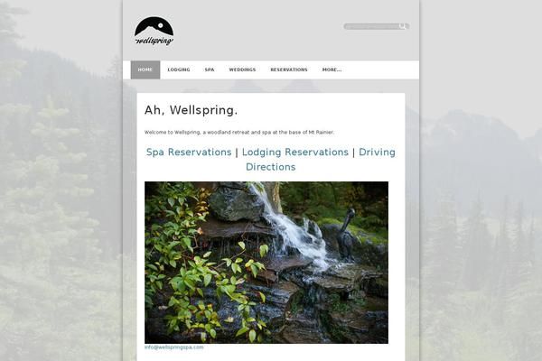 wellspringspa.com site used Wellspring-pinboard