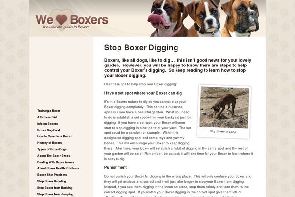 weloveboxer.com site used Affilotheme