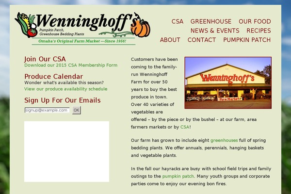 WordPress website example screenshot