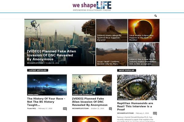 WordPress website example screenshot