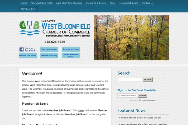 WordPress website example screenshot