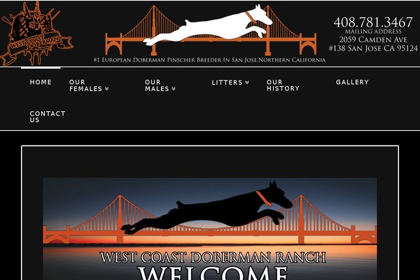 X | The Theme theme site design template sample