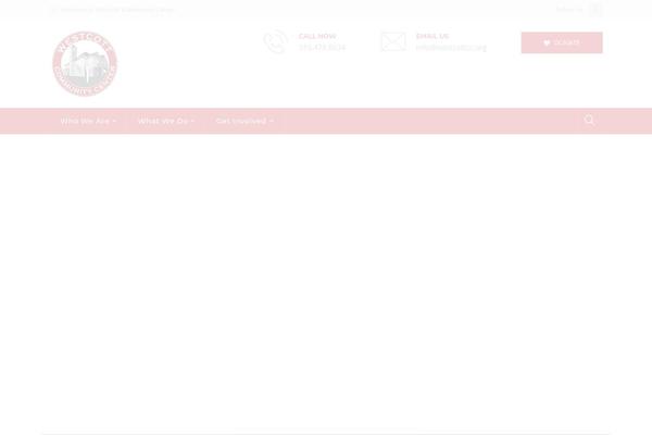 Fundrize theme site design template sample
