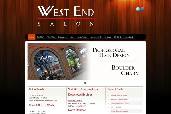 thesalon theme websites examples