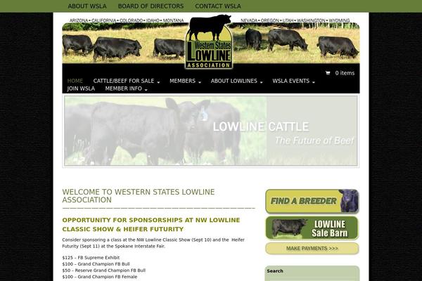 Canvas theme site design template sample